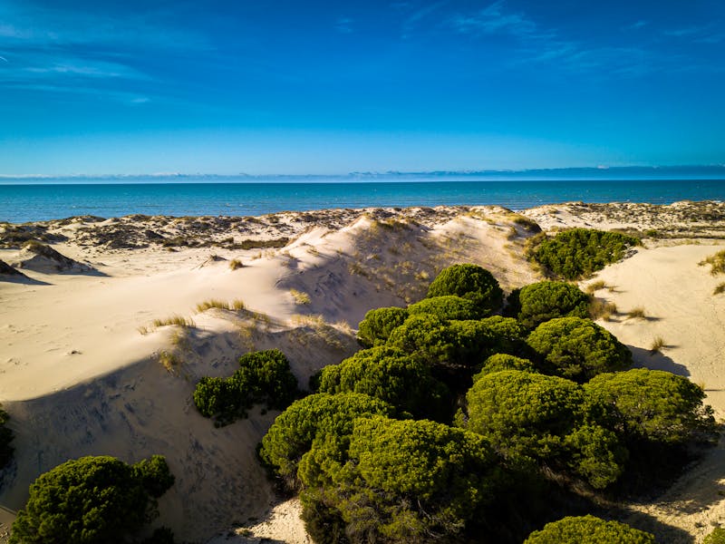 Doñana Nationalpark in Andalusien - ©Lukas - stock.adobe.com