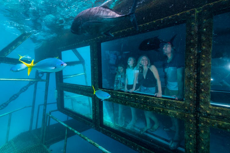 Unterwasseraussichtsplattform vom Reef Magic Ponton im Great Barrier Reef, Australien - &copy;experienceco.mediavalet.com/portals/reef-unlimited