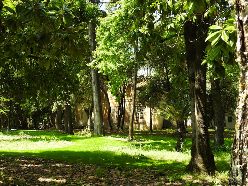 Mon Repos - Korfu - ©Sabine Letzybyll (Eberhardt TRAVEL)