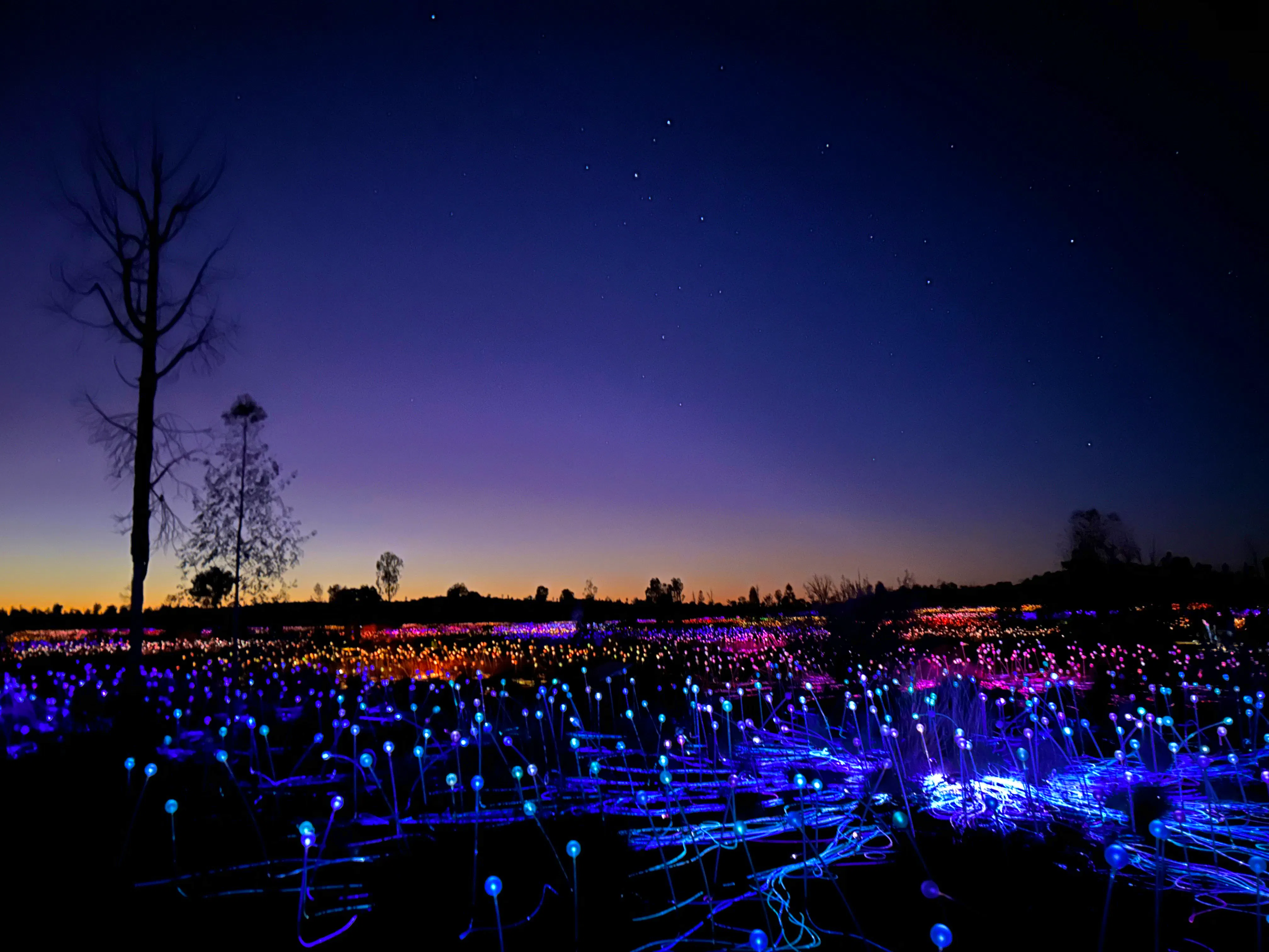 Lichtfeld am Uluru vor Sonnenaufgang  - &copy;Avril21lsy - stock.adobe.com