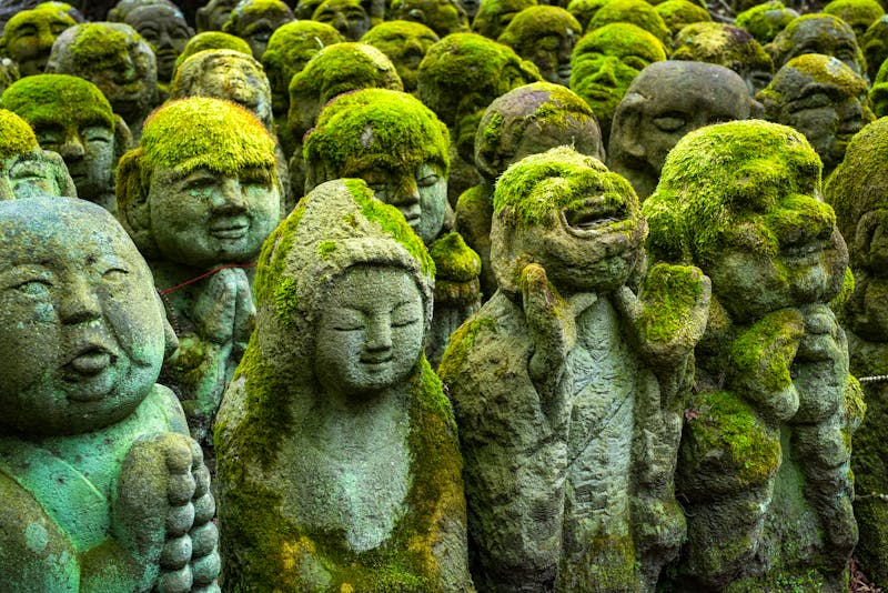 Otagi Nenbutsuji Tempel in Kyoto  - ©eyetronic - stock.adobe.com