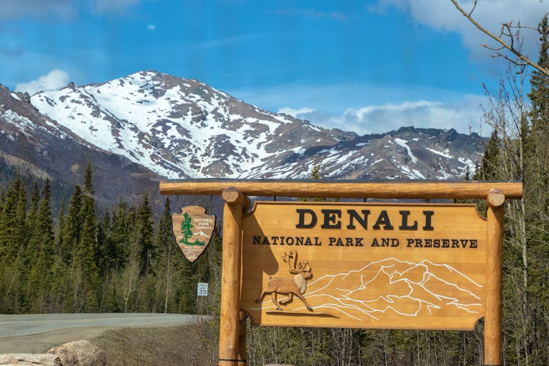 Fahrt in den Denali-Nationalpark - ©Av8erPhotography - stock.adobe.com
