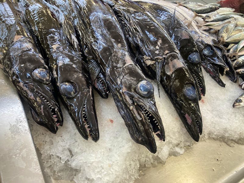 Schwarzer Degenfisch in der Markthalle von Funchal - ©Mathias Schirmer - Eberhardt TRAVEL