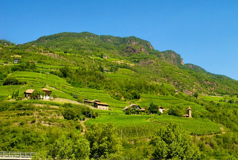 Zugfahrt durch Südtirol - Weinanbaugebiete - ©quasarphotos - stock.adobe.com