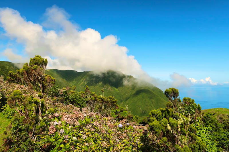 Wanderung in der Serra do Topo auf der Insel Sao Jorge  - ©Andreia - stock.adobe.com