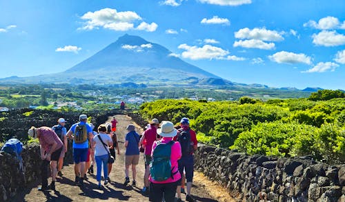 Wanderung durch das UNESCO Weinanbaugebiet auf der Azoren-Insel Pico &ndash; &copy; Ria Heilmann - Eberhardt TRAVEL