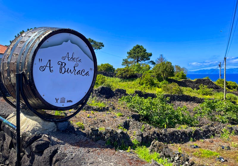 Weinverkostung auf der Insel Pico - ©Jacob Spangenberg - Eberhardt TRAVEL