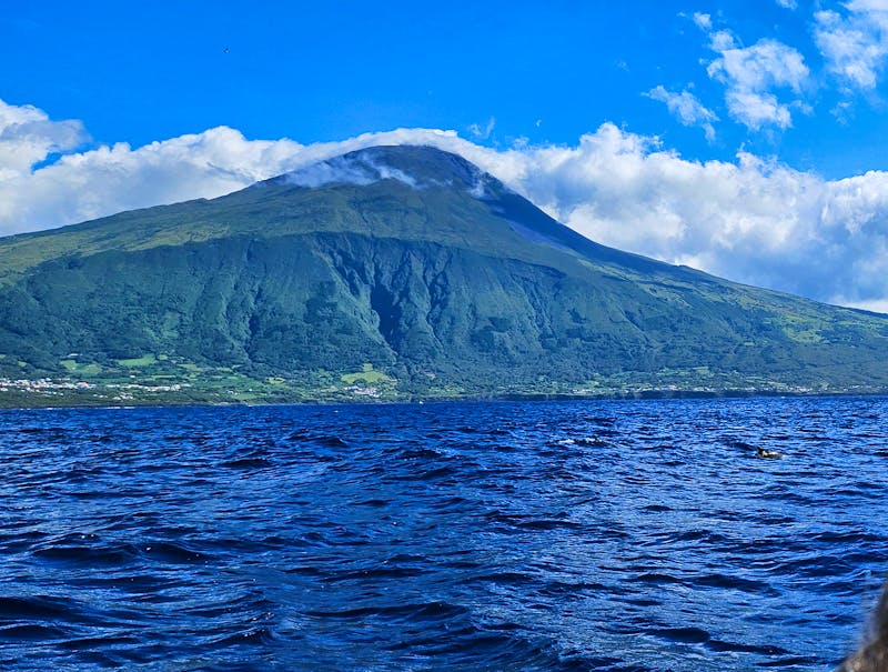 Vulkan Pico bei der Delfinbeobachtung - Azoren - ©Ria Heilmann - Eberhardt TRAVEL