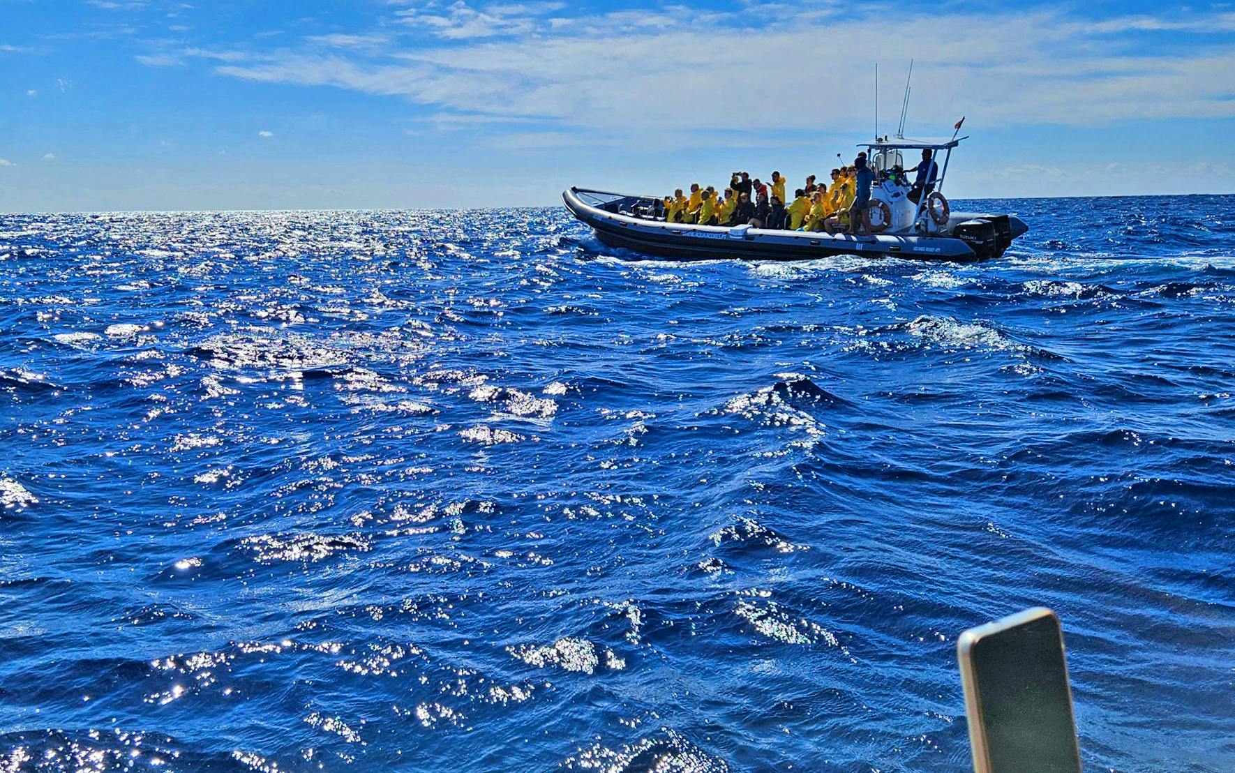 Walbeobachtung vor den Azoren - &copy;Ria Heilmann - Eberhardt TRAVEL