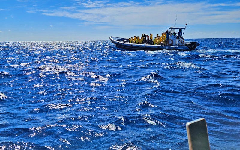 Walbeobachtung vor den Azoren - ©Ria Heilmann - Eberhardt TRAVEL