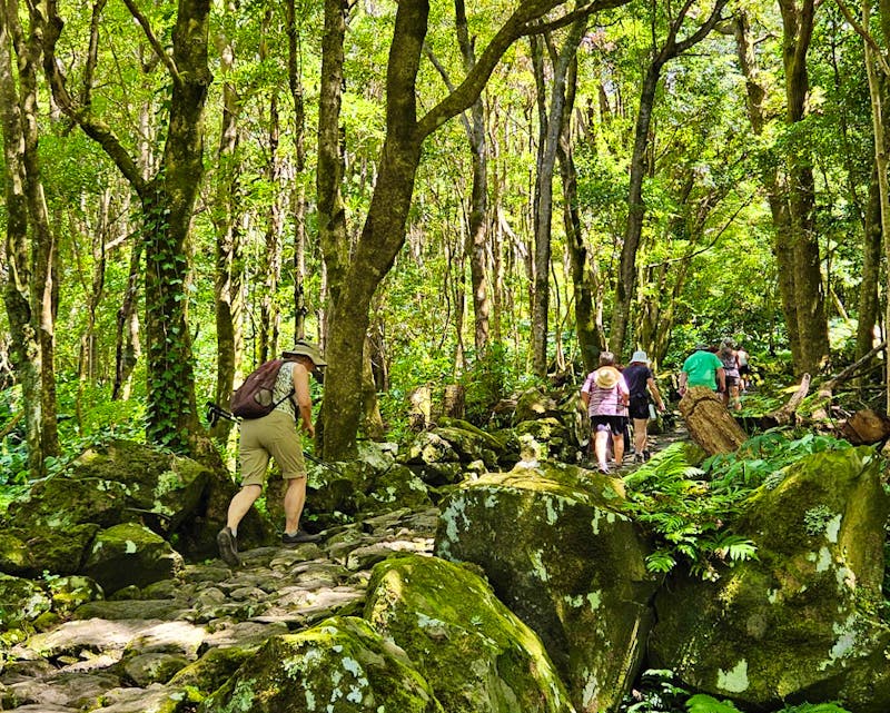 Wanderung zu den Wasserfällen auf der Insel Flores - ©Ria Heilmann - Eberhardt TRAVEL