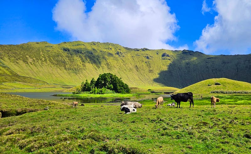 In der Caldeira von Corvo - ©Ria Heilmann - Eberhardt TRAVEL