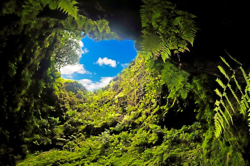 Lavahöhle auf der Azoren-Insel Terceira - ©eric - stock.adobe.com