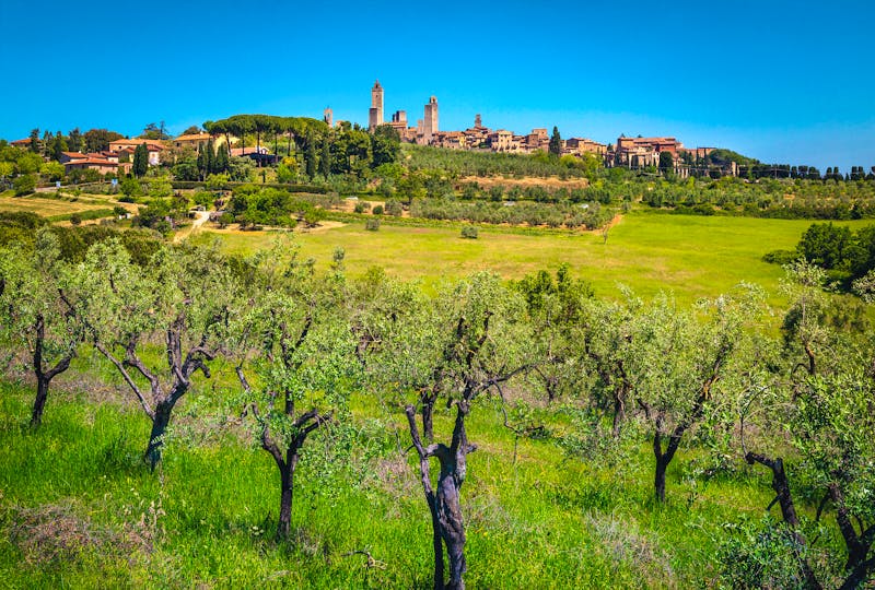 San Gimignano in der Toskana - ©janoka82 - stock.adobe.com