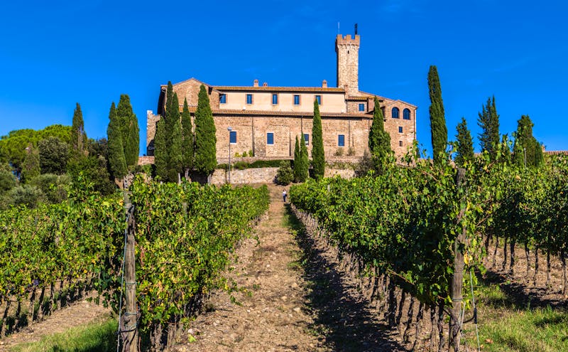Weinberge bei Montalcino in der Toskana - ©steve - stock.adobe.com