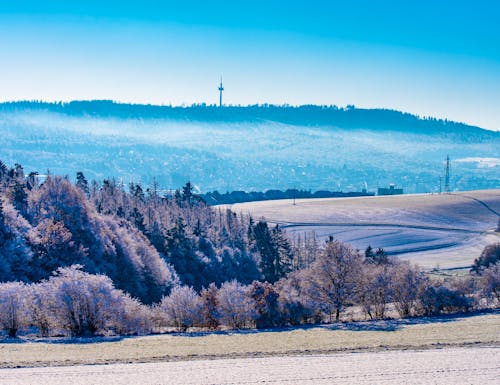 Taunus  im Winter - Taunusstein mit der Hohen Wurzel – © riebevonsehl - stock.adobe.com