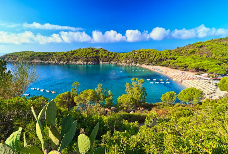 Fetovaia-Bucht im Südwesten der Insel Elba - ©Antonio Scarpi - stock.adobe.com