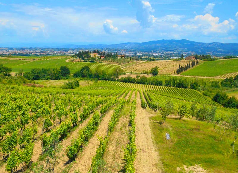 Weingut Montaioncino bei Empoli - ©Katrin Deutschbein - Eberhardt TRAVEL