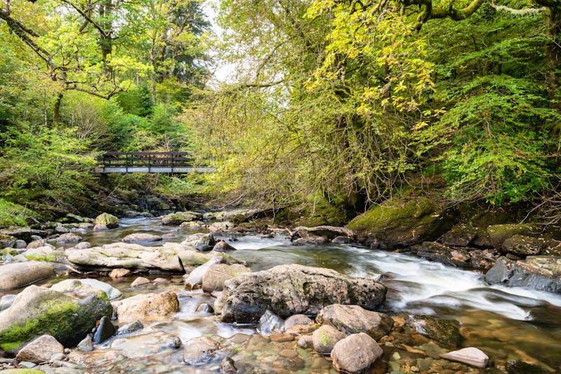 Ardkinglas Woodland Garden in Schottland - ©dvlcom - stock.adobe.com