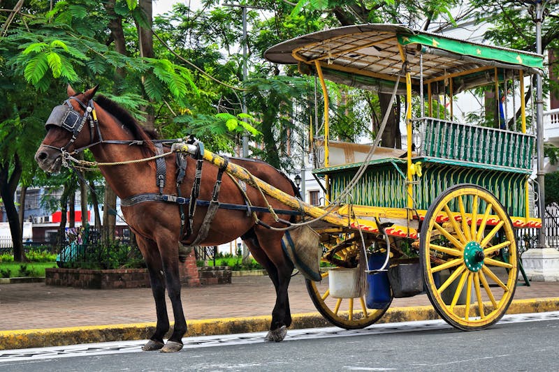 Pferdekutsche in Manila - ©rweisswald - stock.adobe.com