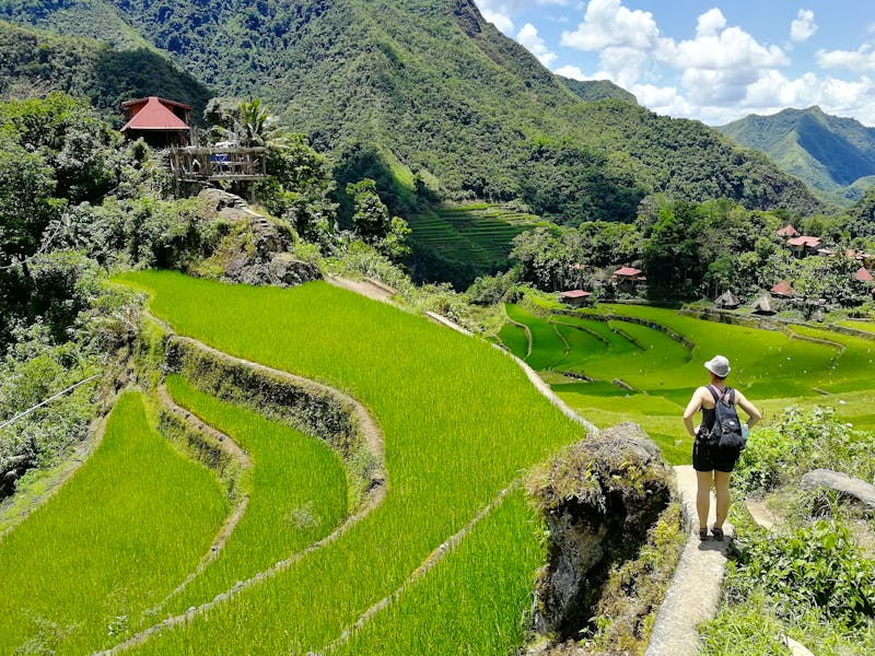 Spaziergang an den Reisterrassen in der Region Banaue auf der Insel Luzon - ©Semi - stock.adobe.com