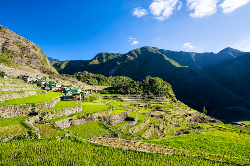 Batad Reisterrassen auf der Insel Luzon (UNESCO-Welterbe) - ©Sébastien KOMARNICKI - stock.adobe.com