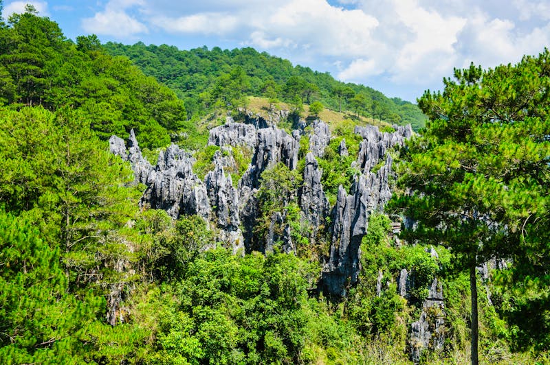 Karstfelsen bei Sagada auf der Insel Luzon - Philippinen - ©Michael Runkel/Danita Delimont - stock.adobe.com