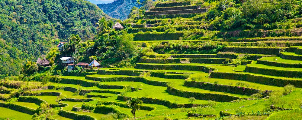 Reisterrassen in der Region Ifugao - Insel Luzon – © frolova_elena - stock.adobe.com