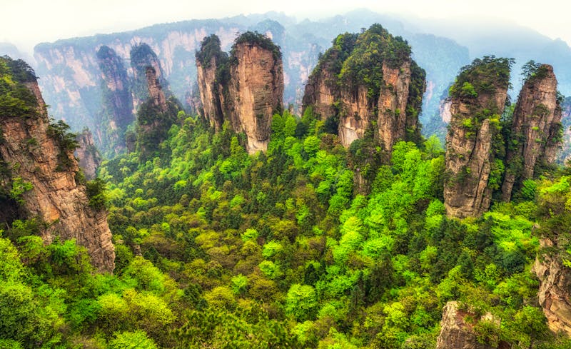 Zhangjiajie National Park - bizarre Felsformationen - ©aaron90311 - stock.adobe.com