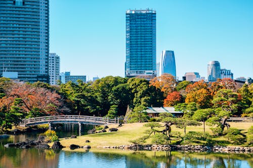 Hamarikyu Garden in Tokio &ndash; &copy; Sanga - stock.adobe.com