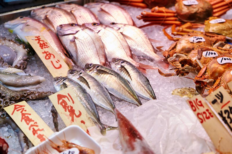 Toyosu Fischmarkt in Tokio - ©mnimage - stock.adobe.com