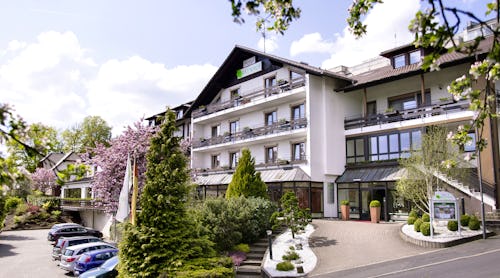 Hotel Birkenhof in Bad Soden-Salmünster - Eingang – © Hotel Birkenhof in Bad Soden-Salmünster