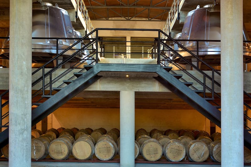 Weinkeller - Viñedos y Olivares del Quintón in Uruguay - ©Viñedos y Olivares del Quintón in Uruguay