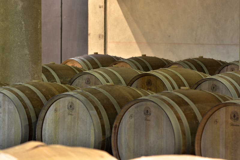 Weinkeller - Viñedos y Olivares del Quintón in Uruguay - ©Viñedos y Olivares del Quintón in Uruguay