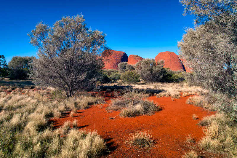 Rote Felsen bei Alice Springs im australischen Outback - &copy;maytheevoran - stock.adobe.com