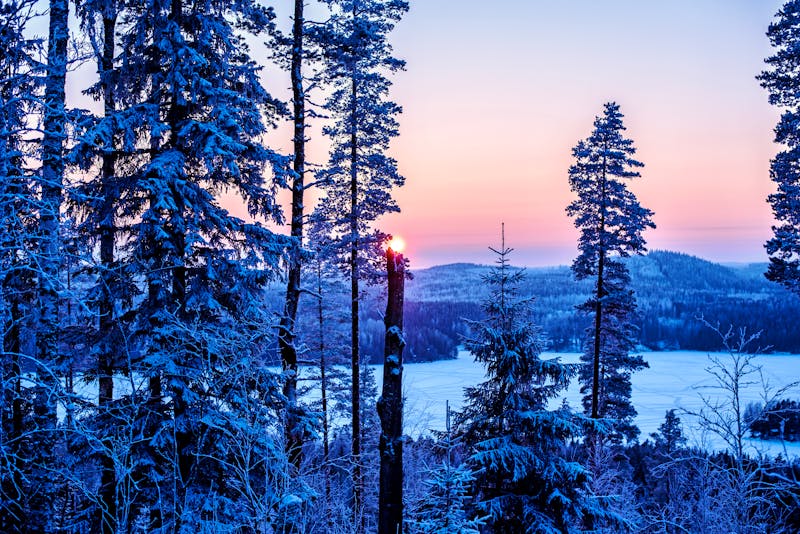 Winter in Finnland - Seenregion bei Jyväskylä - ©Ingmar - stock.adobe.com