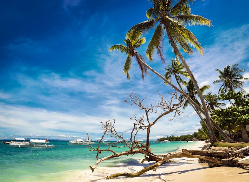 Alona Beach auf Panglao Island vor der Insel Bohol - ©inigolaitxu - stock.adobe.com