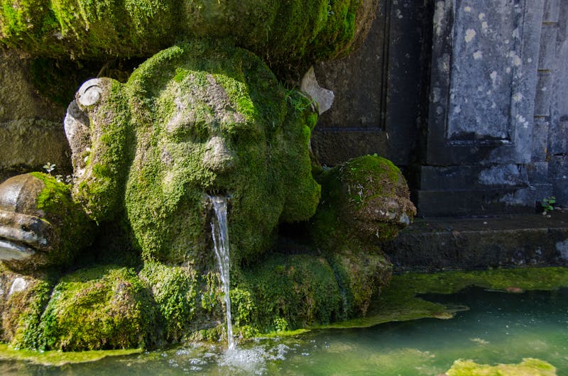 Schloss Freyr - Wasserspeier im Schlosspark - ©Stephy - stock.adobe.com