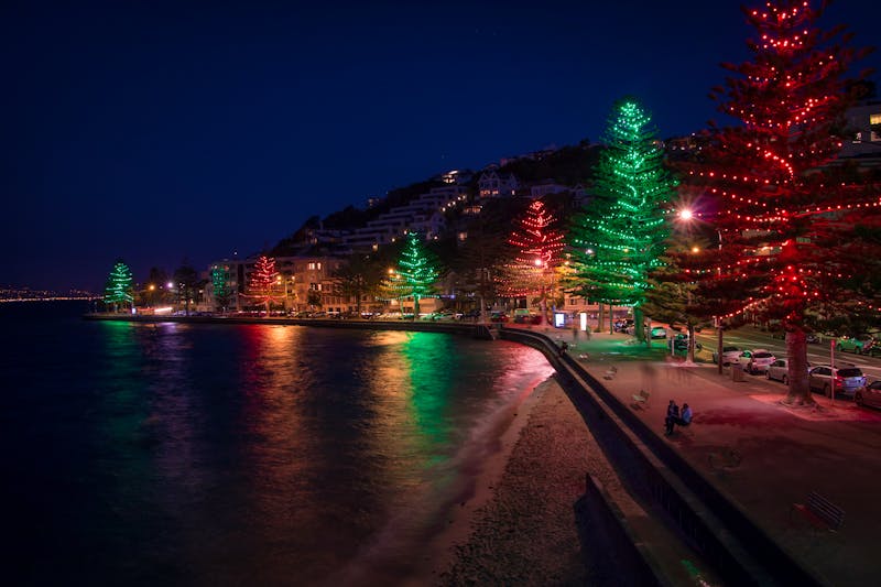 Wellington - Oriental Bay geschmückt mit Weihnachtsbäumen - ©Joshua Daniels - stock.adobe.com