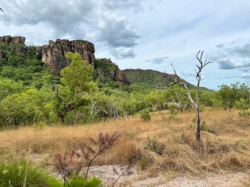 Kakadu-Nationalpark – Sandsteinfelsen - ©Andreas Wolfsteller - Eberhardt TRAVEL
