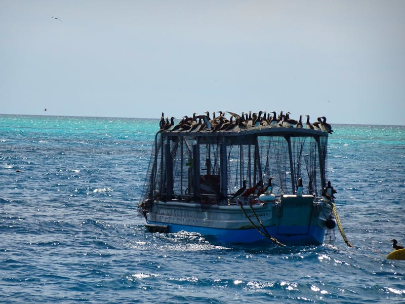 Australien - Great Barrier Reef - ©Sabine Letzybyll (Eberhardt TRAVEL)
