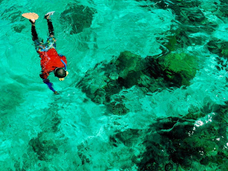 Schnorcheln vor Balicasag Island - Philippinen - ©YOOJIN - stock.adobe.com