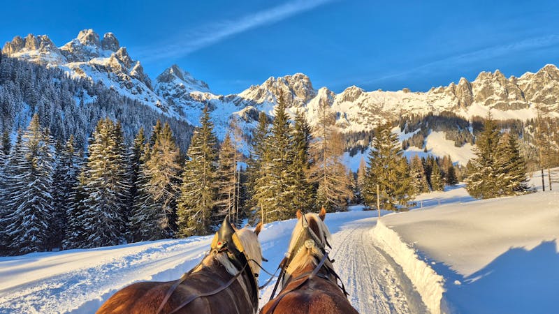 Schlittenfahrt in Filzmoos - ©Sinah Witzig - Eberhardt TRAVEL