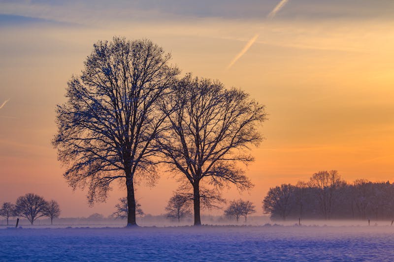 Eichsfeld in Thüringen - nebliger Sonnenuntergang im Winter - ©Oliver Sasse - stock.adobe.com