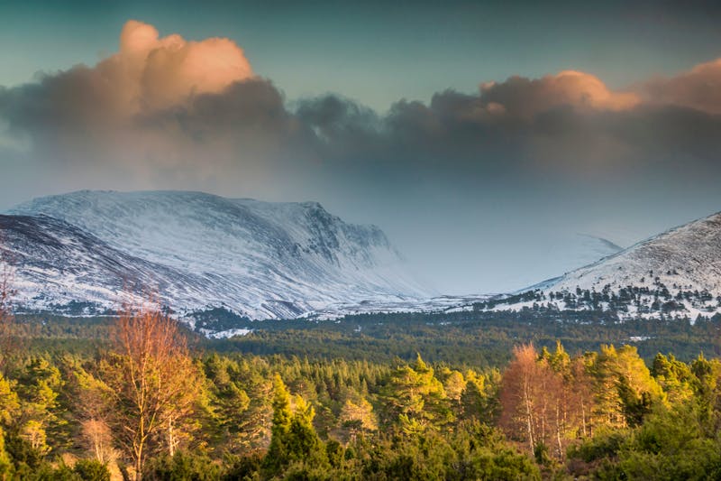 Cairngorms in den schottischen Highlands im Winter - Blick über den Rothiemurchus Forest zum Lairig Ghru - &copy;© Douglas Milne 2019. All rights reserved