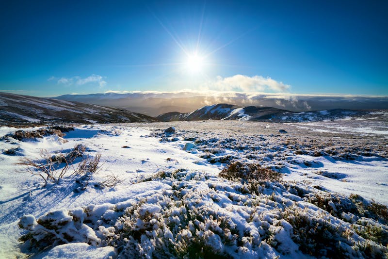 Cairngorms in den schottischen Highlands im Winter - ©Duncan Andison - stock.adobe.com