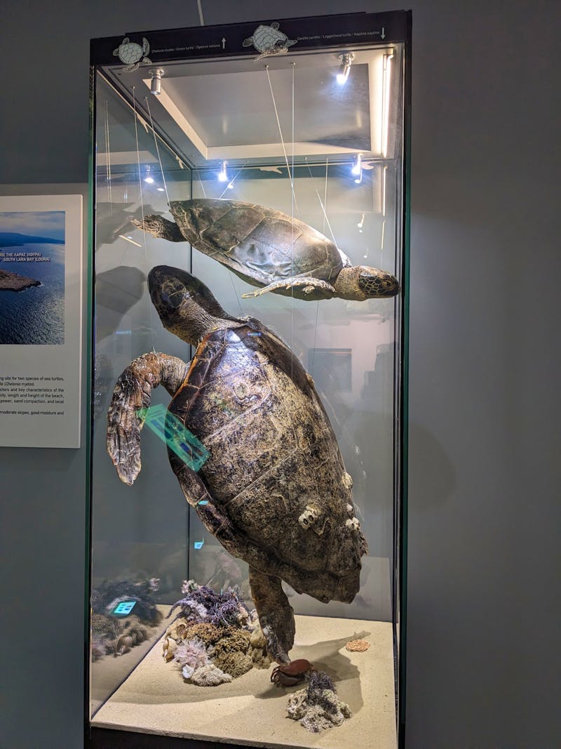Schildkrötenmuseum in Ineia - ©Teresa Rumpel - Eberhardt TRAVEL
