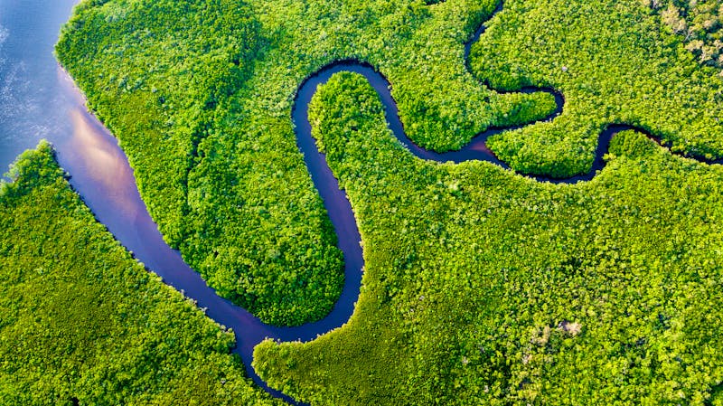 Blick auf den Daintree-Regenwald in Queensland - ©Michael - Adobe Stock