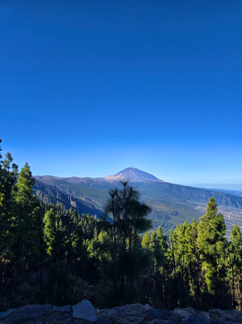 Aussichtspunkt Mirador de la Cumbre, Teneriffa.jpg - ©Katrin Jähne - Eberhardt TRAVEL