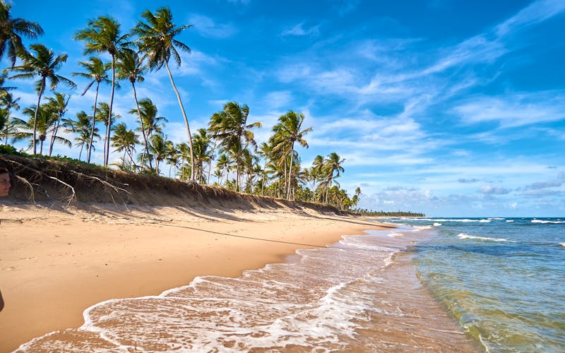 Strand in Praia do Forte  - ©Fernando Ghelfi - stock.adobe.com